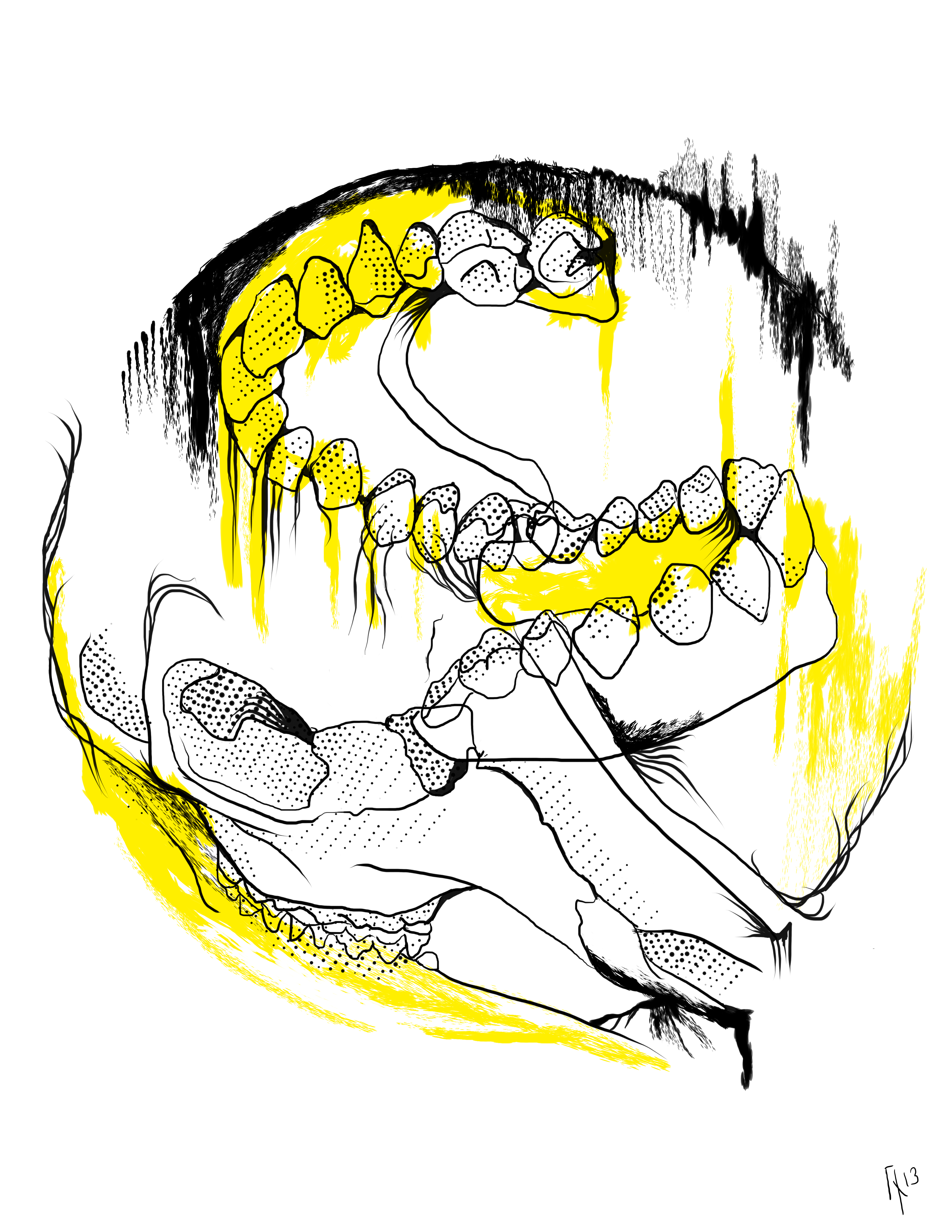 Teeth