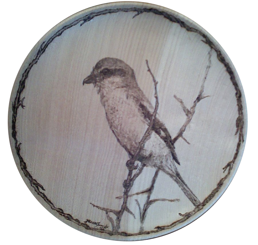 First Pyrography, 2011